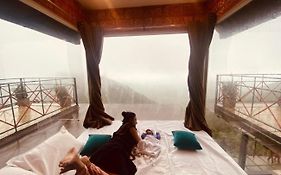 Vayalada View Point Resort